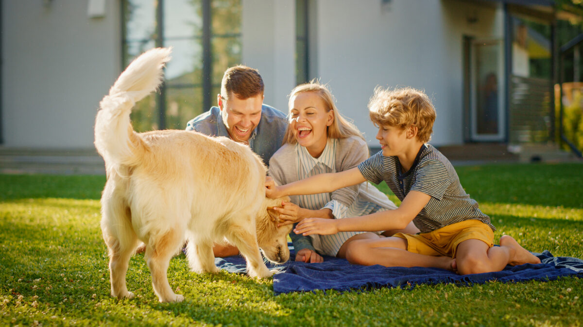 Portrait of Father, Mother and Son Having Picnic on the Lawn, Posing with Happy Golden Retriever Dog.